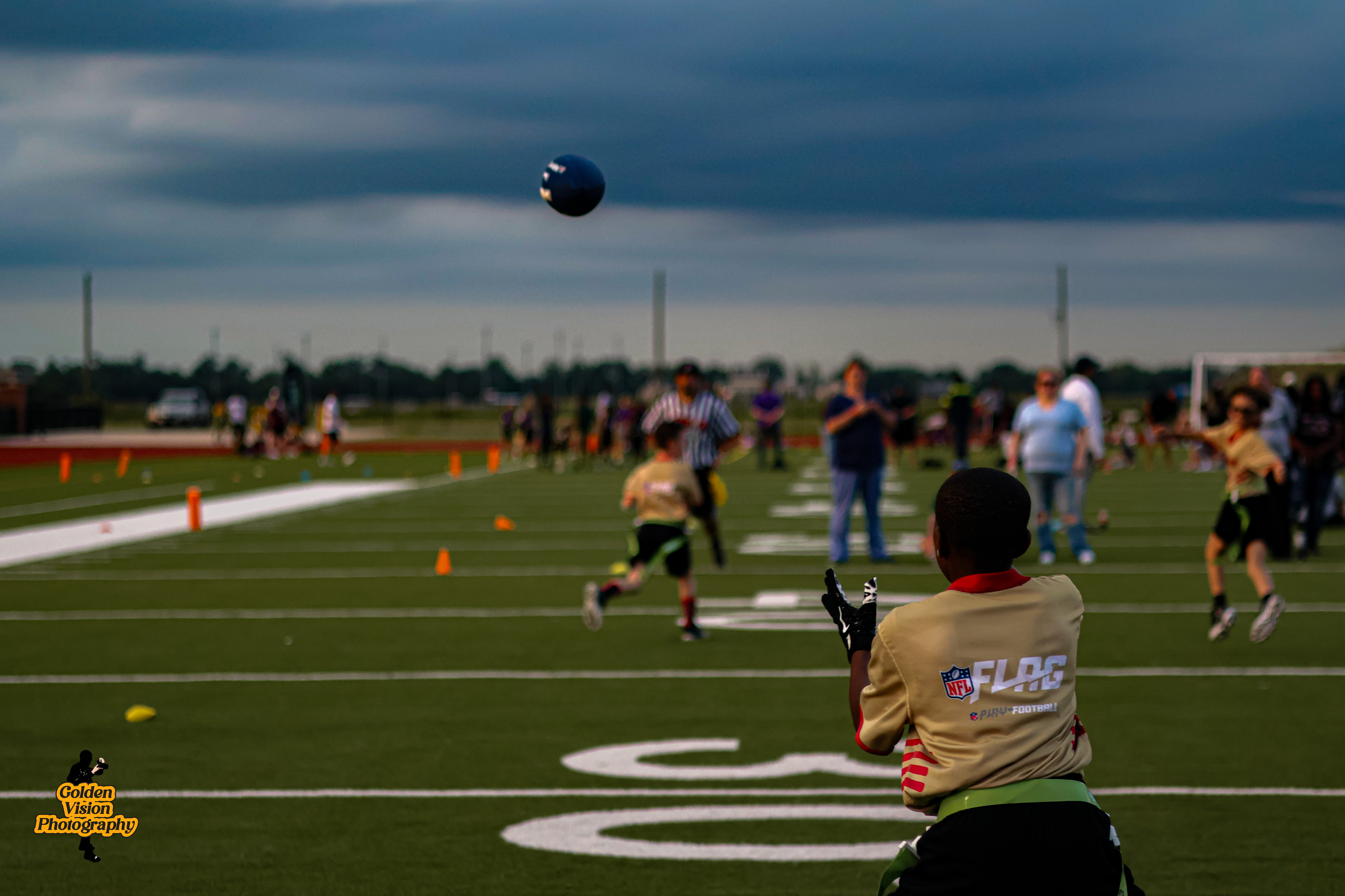 Stadium Vibes — Sports by Golden Vision